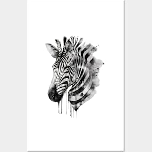 Zebra Posters and Art